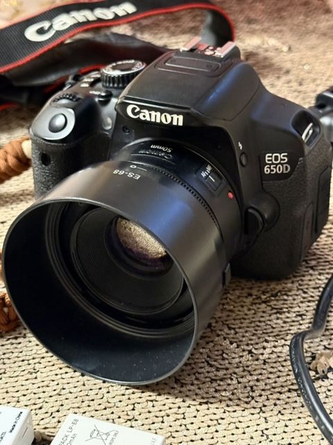 Canon EOS 650D Dslr fotoaparat komplekti - Korpus: Canon EOS 650D — Şirvan