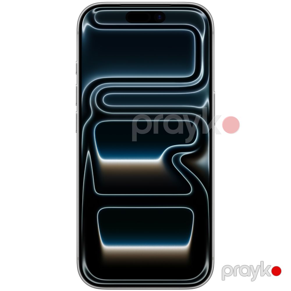 iPhone 17 Pro 1 TB Silver — Smartfonlar, Bakı (3)