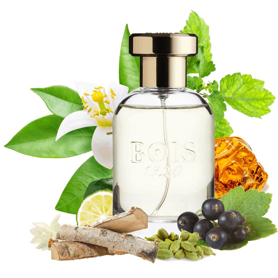 Uniseks parfüm Bois 1920 Parana EDP 100 ml PCBOIS12 — Ətir, Bakı (2)