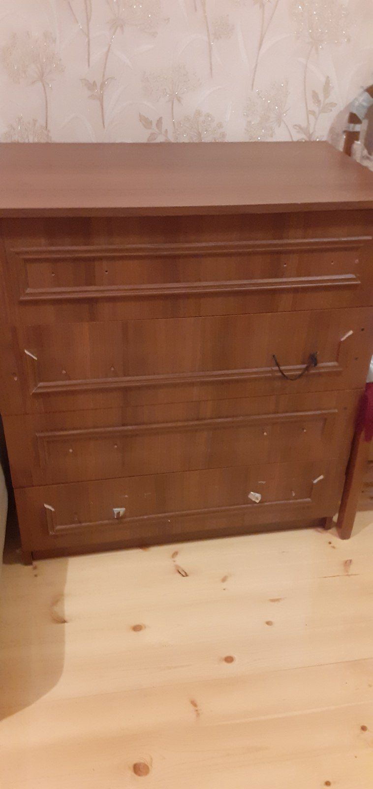 Komodlar — Mallar, Bakı (3)