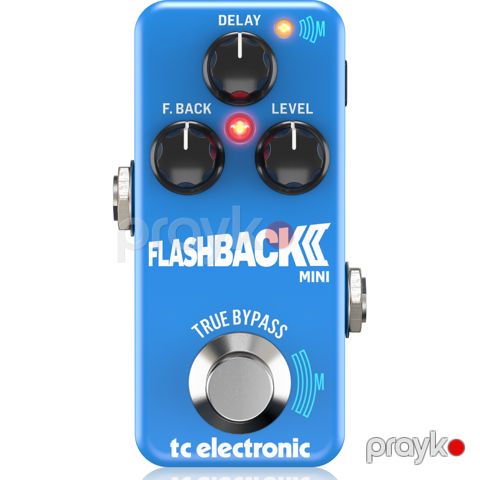 TC Electronic Flashback 2 Mini Delay — Bakı