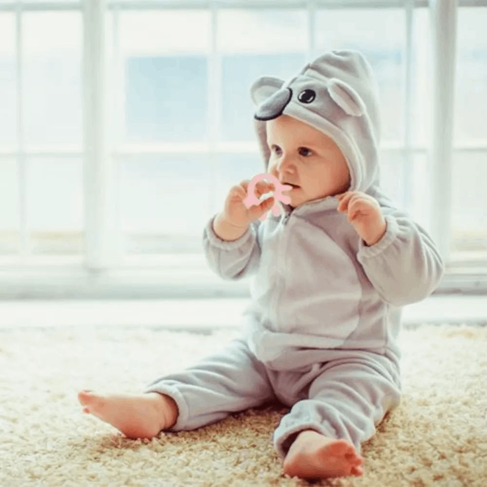 BabyJem diş üçün oyuncaq / 8683672336282 — Mallar, Bakı (3)