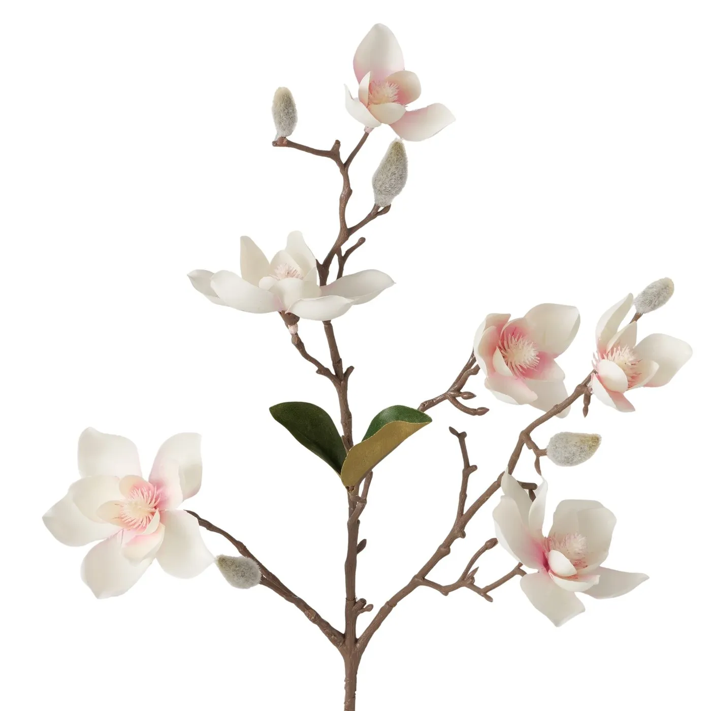 Dekorativ Budaq Boltze Magnolia 64 sm (2077914) — Bakı