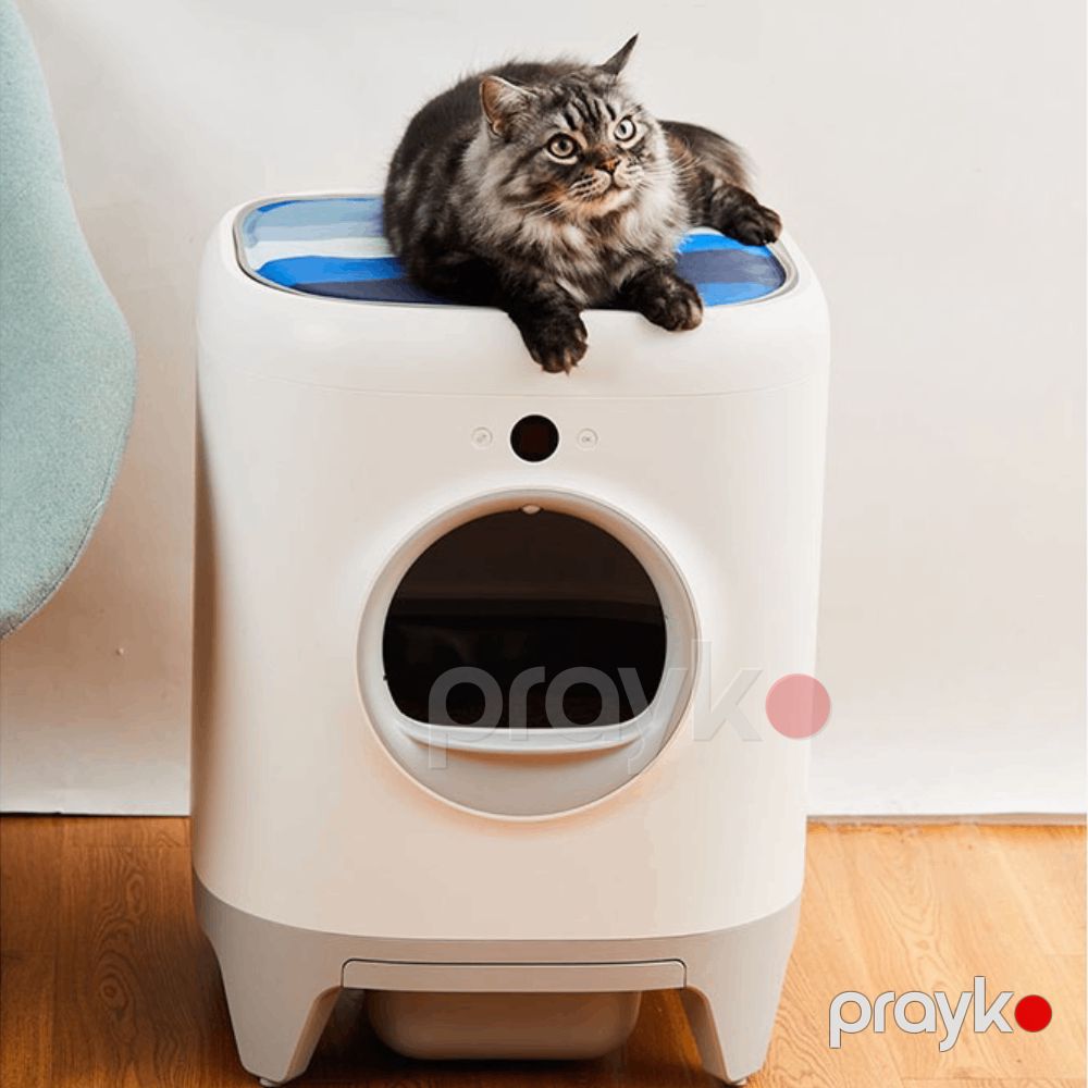 Yastıq Petkit P7203 — Heyvan malları, Bakı (3)