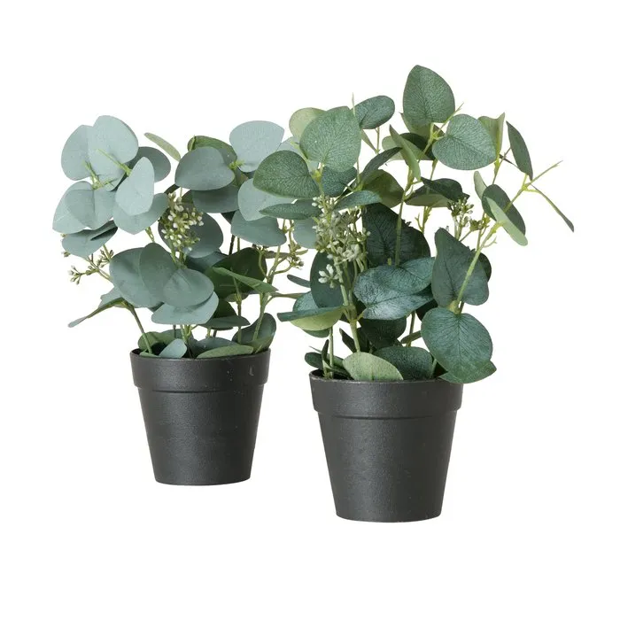 Dekorativ gül Boltze Eucalyptus 30 sm 1 ədəd — Bakı