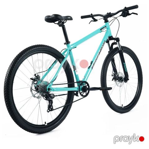 Forward Sporting SX 29 (Wheel 29/ Gear 8/ Size 17) Mint/Beige