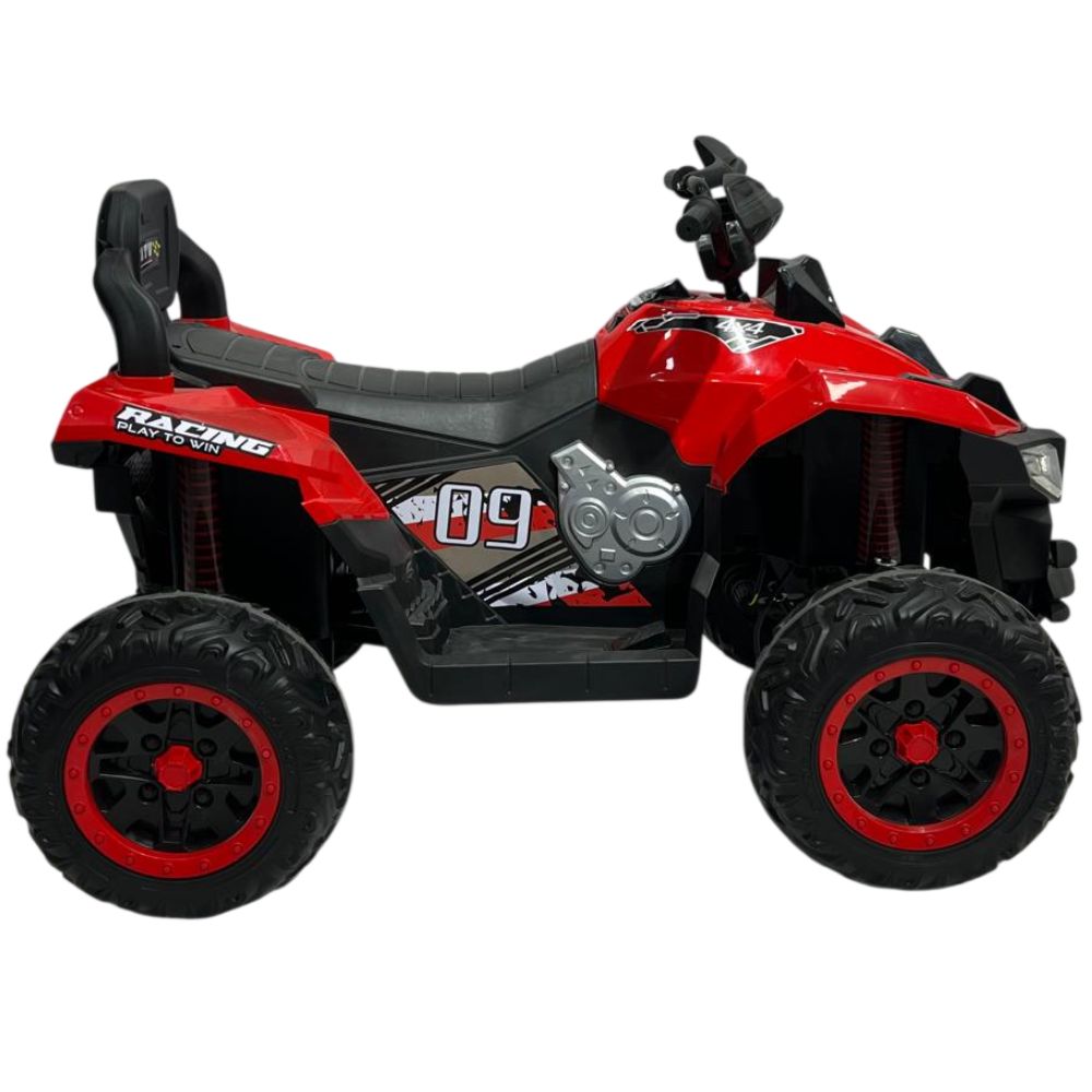 Elektromoto 1966 Red — Mallar, Bakı (3)