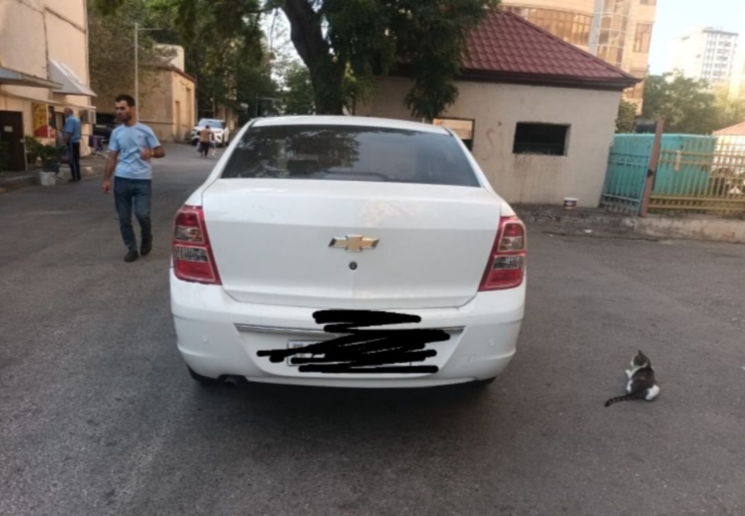 Chevrolet Cobalt icarəsi — Xidmətlər, Bakı (2)