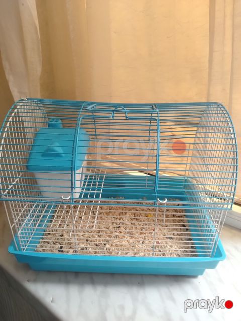 Kiçik heyvan qəfəsi – hamster, siçan və ya digər gəmiricilər üçün — Masazır