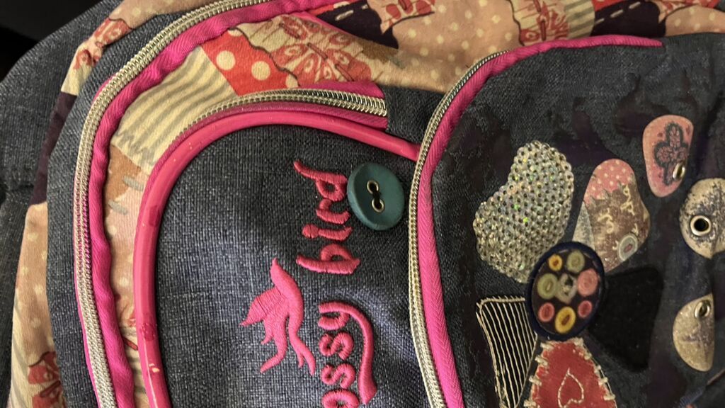 Glossy Bird məktəb çantası Yenidən Seçilmir Endirimlə 12 AZN, 40 — Sırt çantaları, ranelər, çantalar, Masazır (2)
