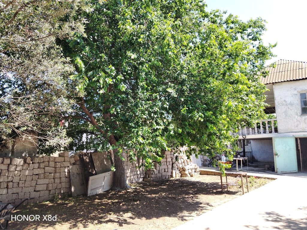 5 kv. m, 3 otaqlı, Su — Daşınmaz əmlak, Digah (2)