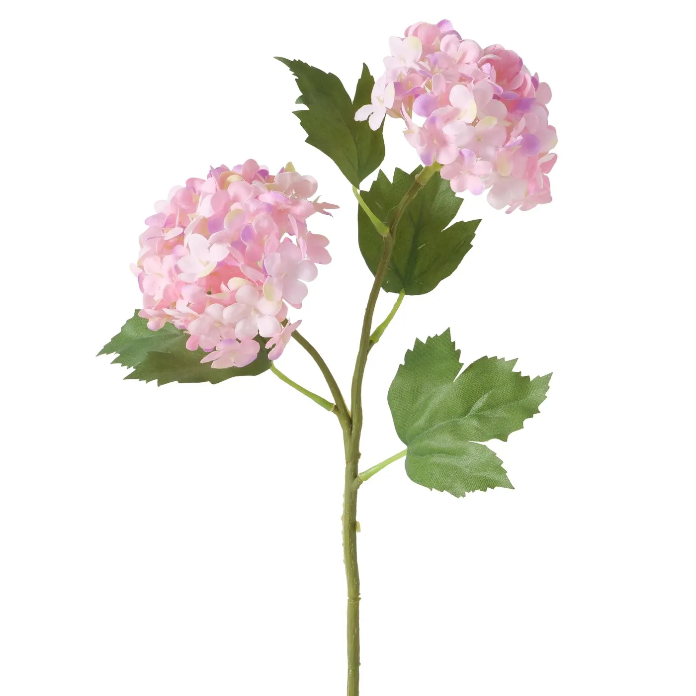 Dekorativ gül Boltze Hydrangea 35 sm — Bakı