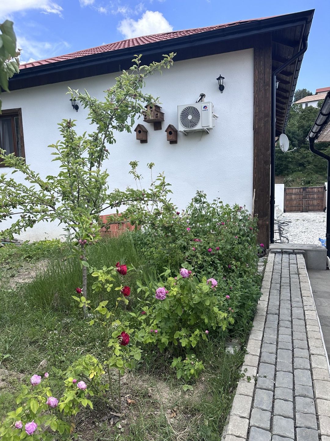Bağ evi kirayə verilir, Laçın r — Ev, villa, Laçın (5)