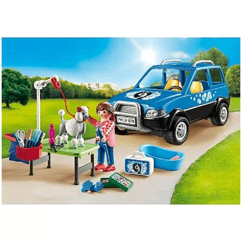 Mobil baxım salonu — Bakı