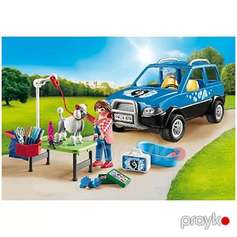 Mobil baxım salonu — Bakı