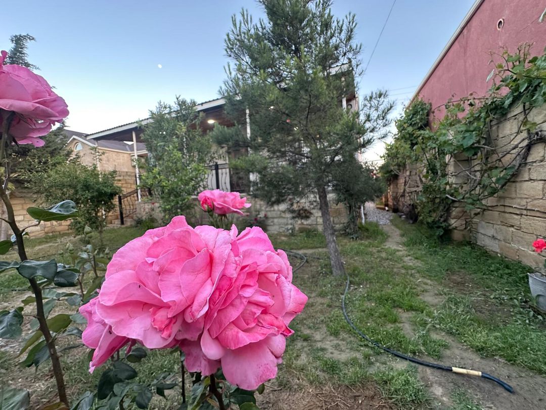 Həyət evi, Binəqədi r — Ev, villa, Bakı (2)