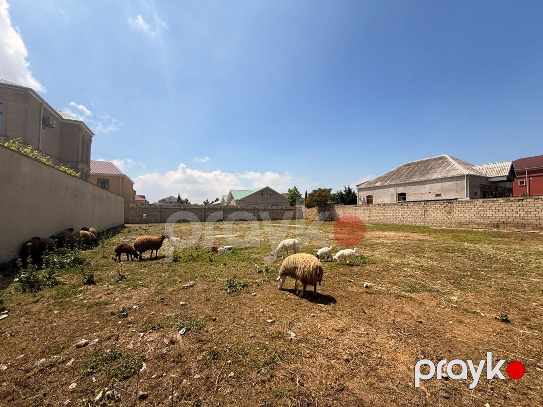 14 sot torpaq sahəsi, Buzovna qəs — Torpaq, Bakı (5)