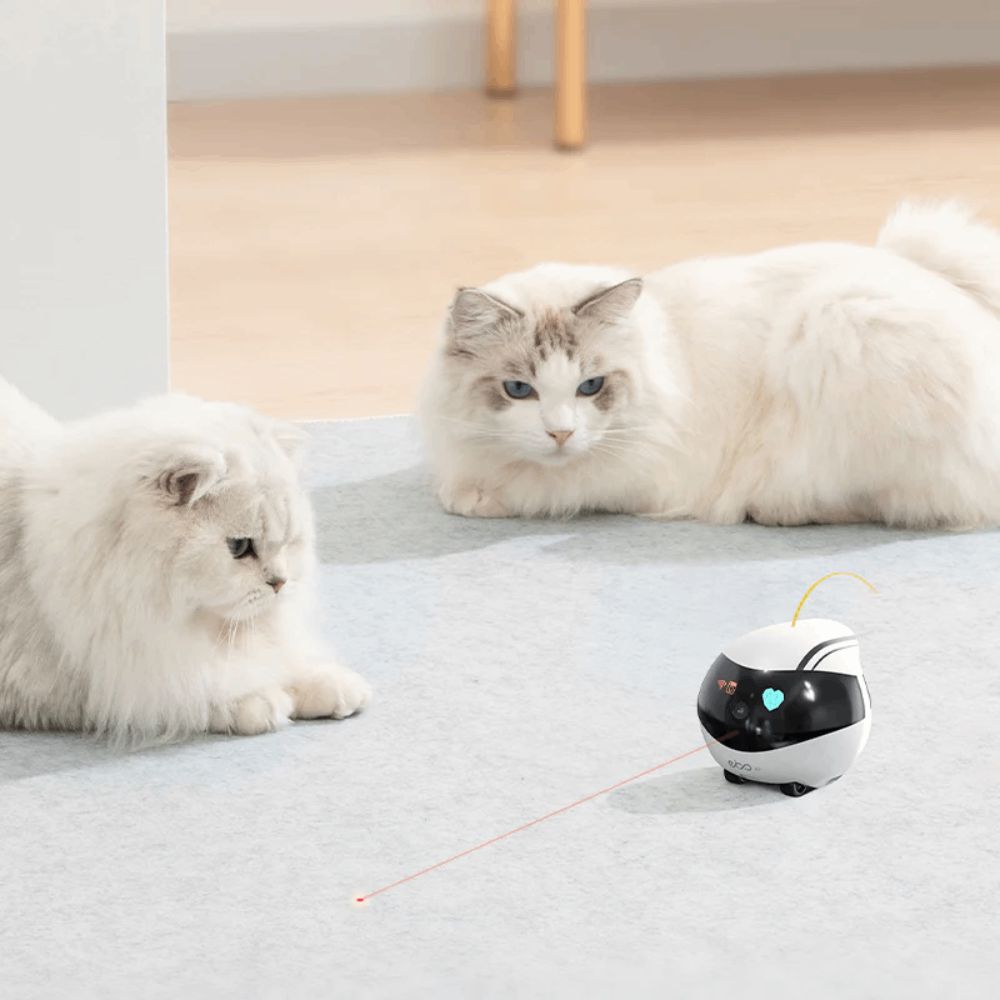 Kamera EBO Air Pet Robot Camera — Ağıllı ev, Bakı (3)