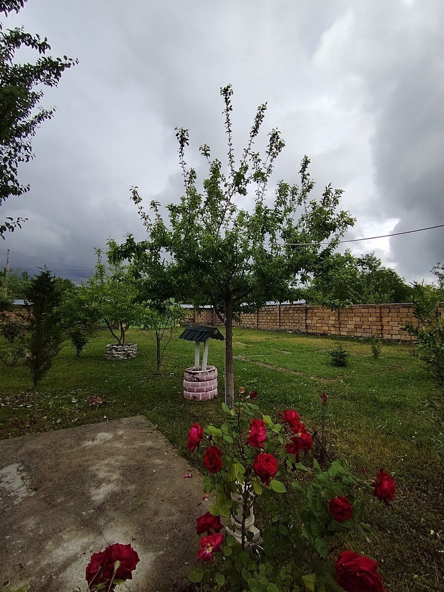 3 sot torpaq sahəsi, Qəbələ r — Torpaq, Qəbələ (4)