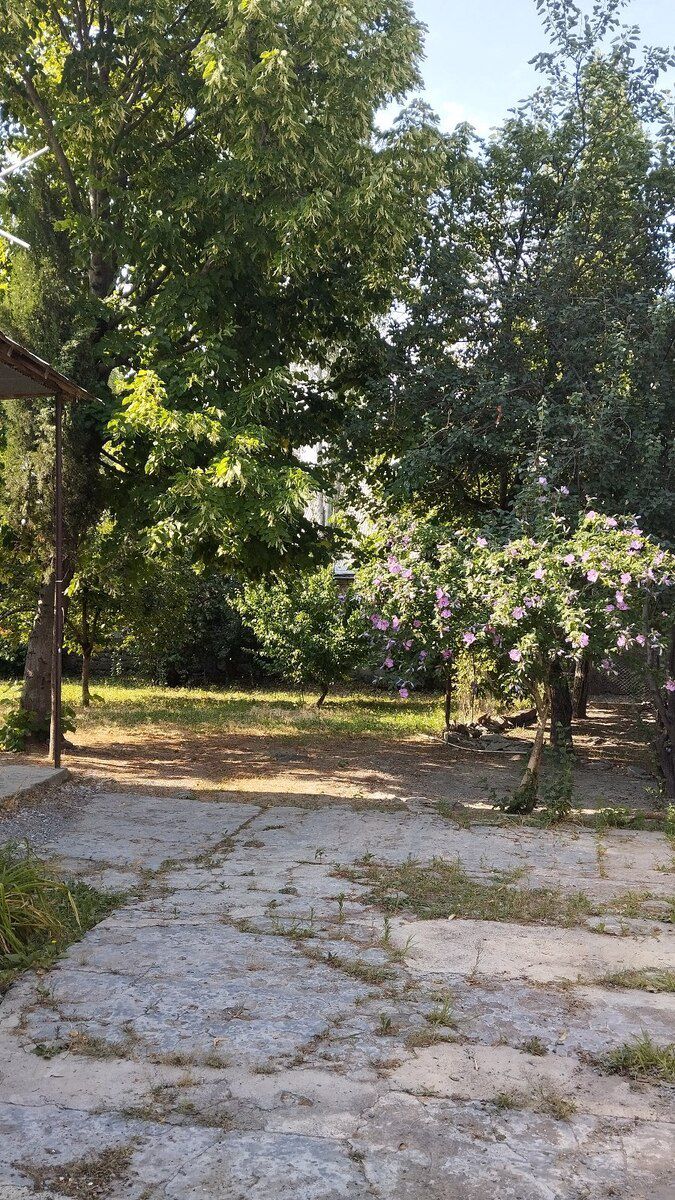 Həyət evi kirayə verilir, Şəki r — Ev, villa, Şəki (6)