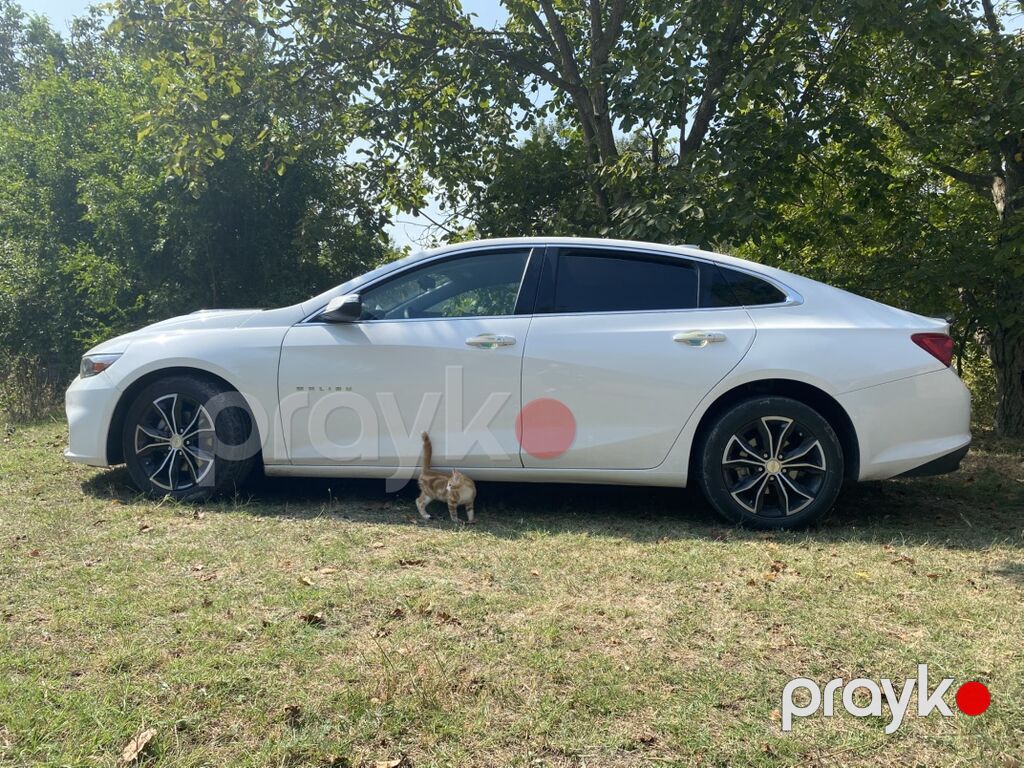 Chevrolet Malibu: 1.5 l 2018 il 255000 km Sedan 99-CZ-034 — Avtomobillər, Bakı (3)