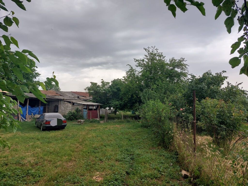 55 sot — Torpaq, İsmayıllı (5)