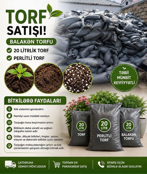Otaq Bitkilərinə Peşəkar Qulluq Xidməti Gülləriniz zəifləyib — Digah