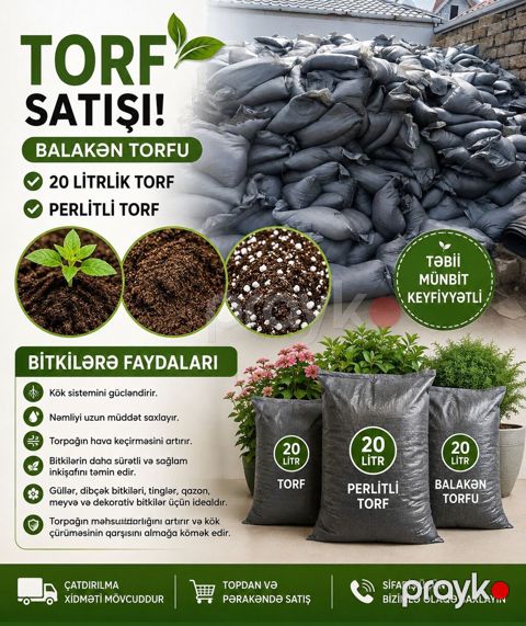 Otaq Bitkilərinə Peşəkar Qulluq Xidməti Gülləriniz zəifləyib — Digah