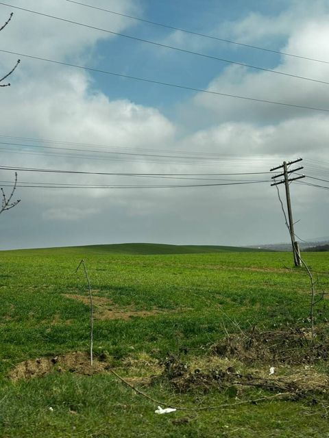 115 sot torpaq sahəsi, Quba r — Quba