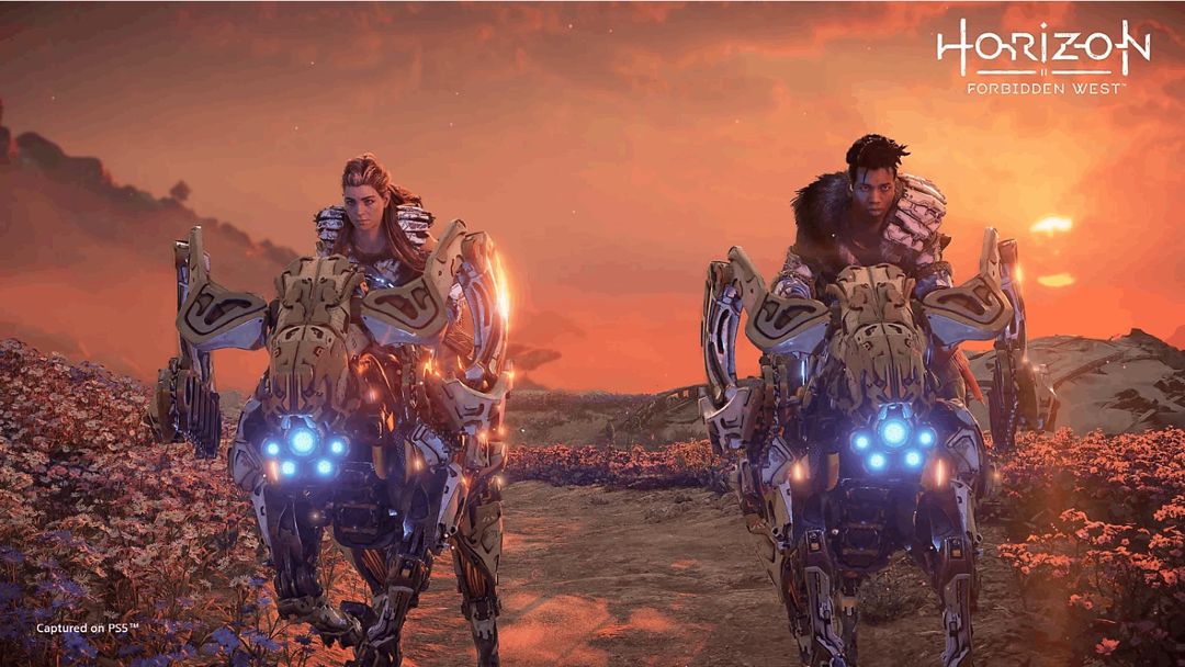 Disk РlayStation 5 (Horizon Forbidden West) — Mallar, Bakı (5)