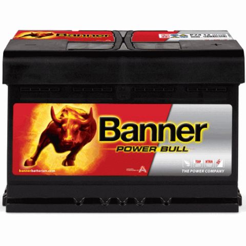 Avtomobil üçün akkumulyator Banner Power Bull 74Ah P7412 — Bakı