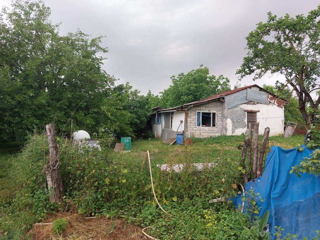 55 sot — Torpaq, İsmayıllı (7)