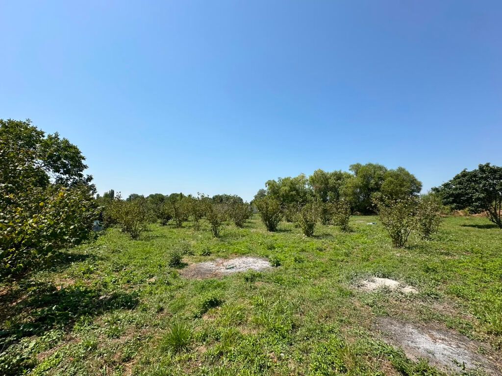 20 sot, Tikinti, Mülkiyyətçi, Kupça (Çıxarış) — Torpaq, Xaçmaz (5)