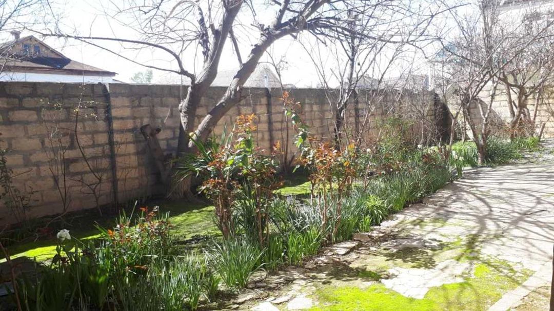 Satılır 2 otaqlı həyət evi/bağ evi 70 m² — Ev, villa, Xaçmaz (5)