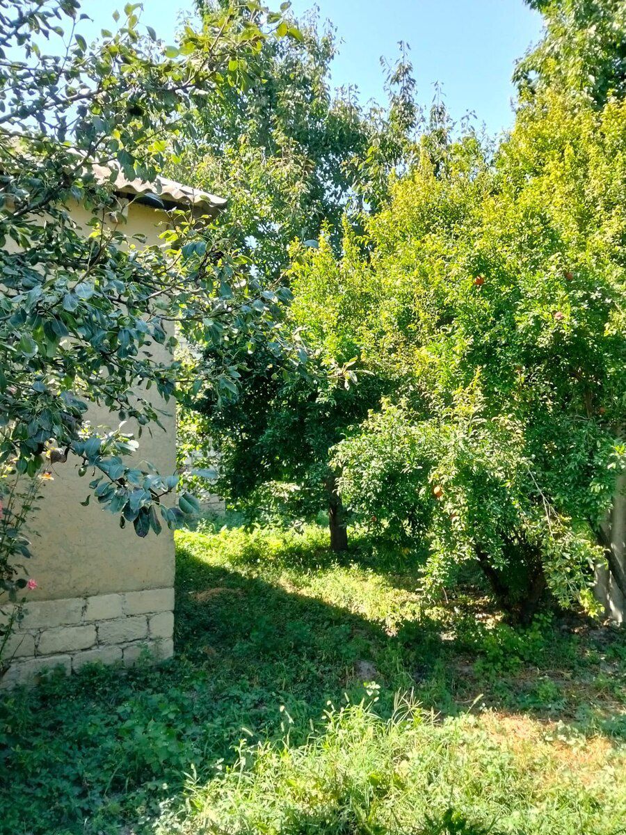 Bağ evi, Xaçmaz r — Ev, villa, Xaçmaz (6)
