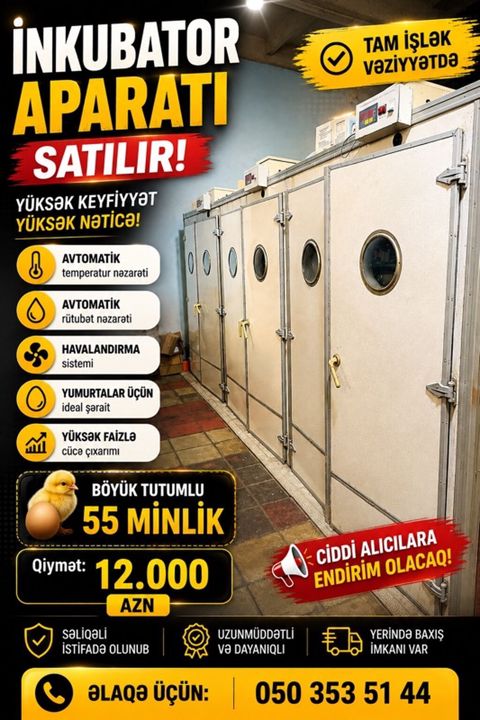 Tam avtomat — Masallı