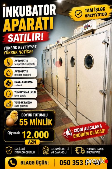 Tam avtomat — Masallı