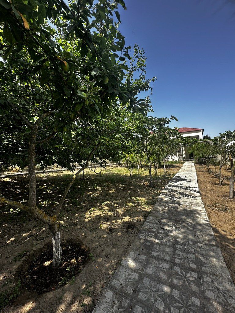 Satılır 4 otaqlı həyət evi/bağ evi 130 m² — Ev, villa, Bakı (3)