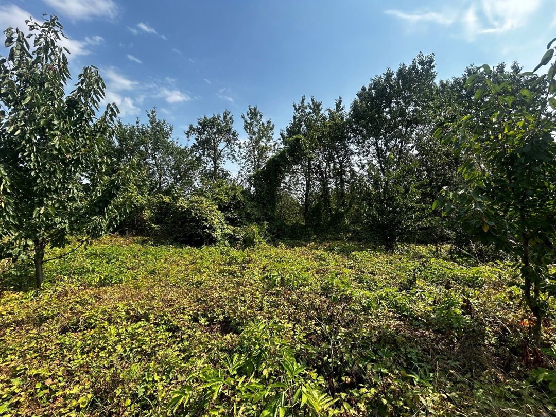 Satılır 5 otaqlı həyət evi/bağ evi 83.6 m² — Ev, villa, Quba (8)