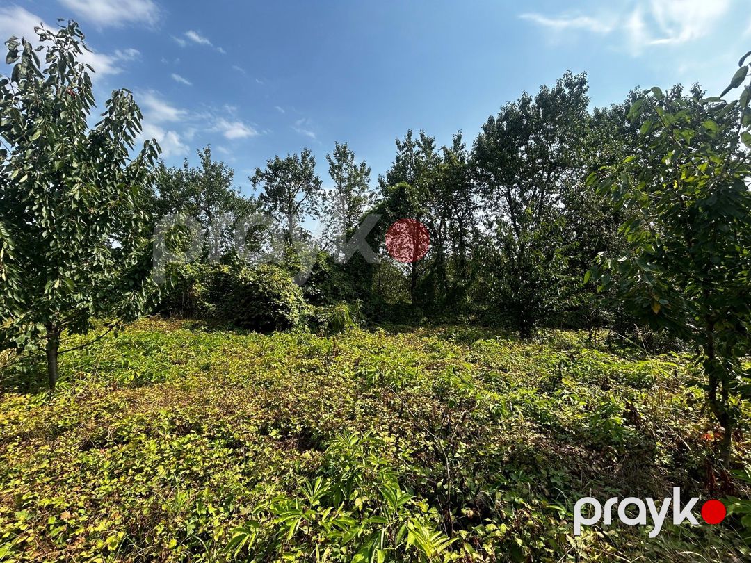 Satılır 5 otaqlı həyət evi/bağ evi 83.6 m² — Ev, villa, Quba (8)