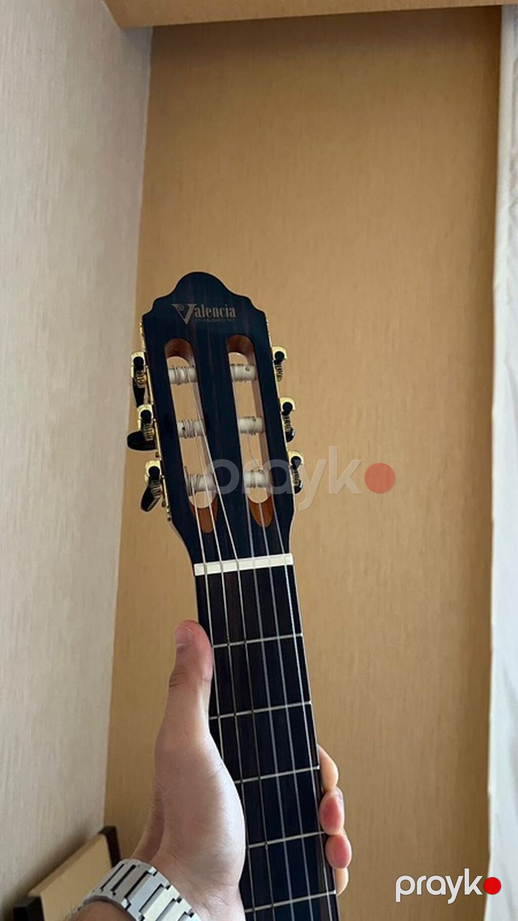 Valencia 564NAT- Super kefiyyetli orjinal Valencia gitara tezeden — Gitarlar və digər simli alətlər, Digah (4)