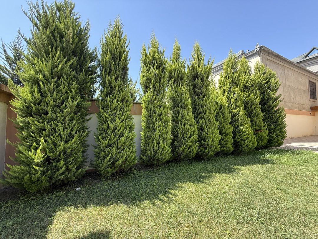 Satılır 7 otaqlı həyət evi/bağ evi 490 m² — Ev, villa, Bakı (7)