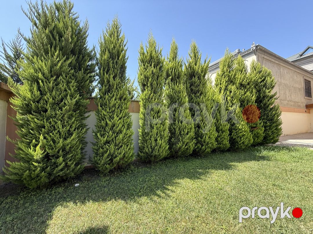 Satılır 7 otaqlı həyət evi/bağ evi 490 m² — Ev, villa, Bakı (7)