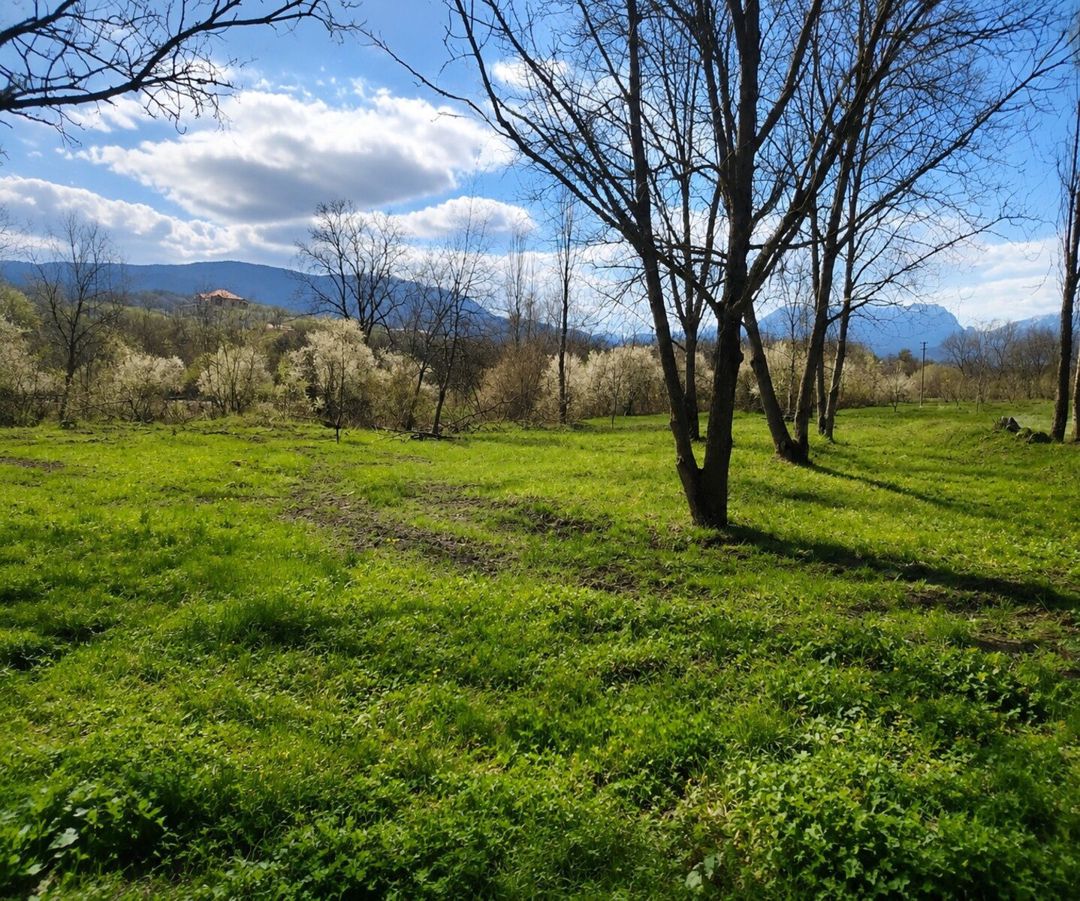 Satılır torpaq 12 sot — Torpaq, Quba (3)