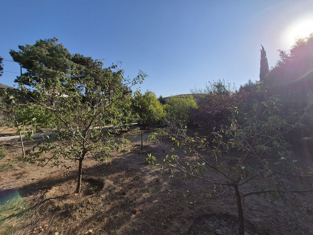 Satılır torpaq 50 sot — Torpaq, Bakı (7)
