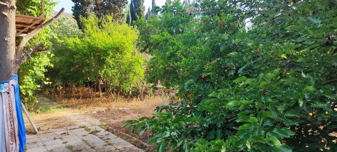 Satılır 5 otaqlı həyət evi/bağ evi 400 m² — Ev, villa, Bakı (11)