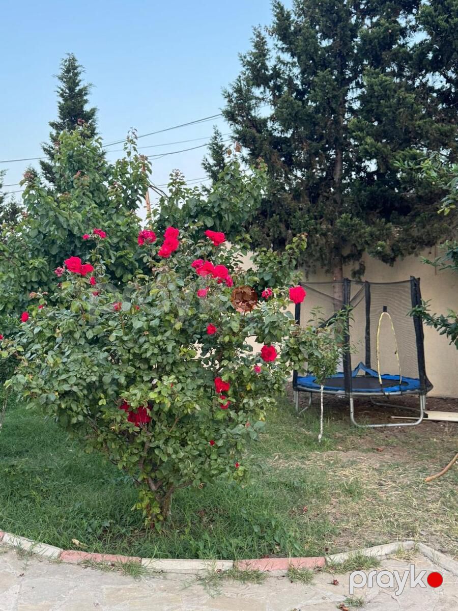 İcarəyə verilir 5 otaqlı həyət evi/bağ evi 450 m² — Ev, villa, Bakı (9)