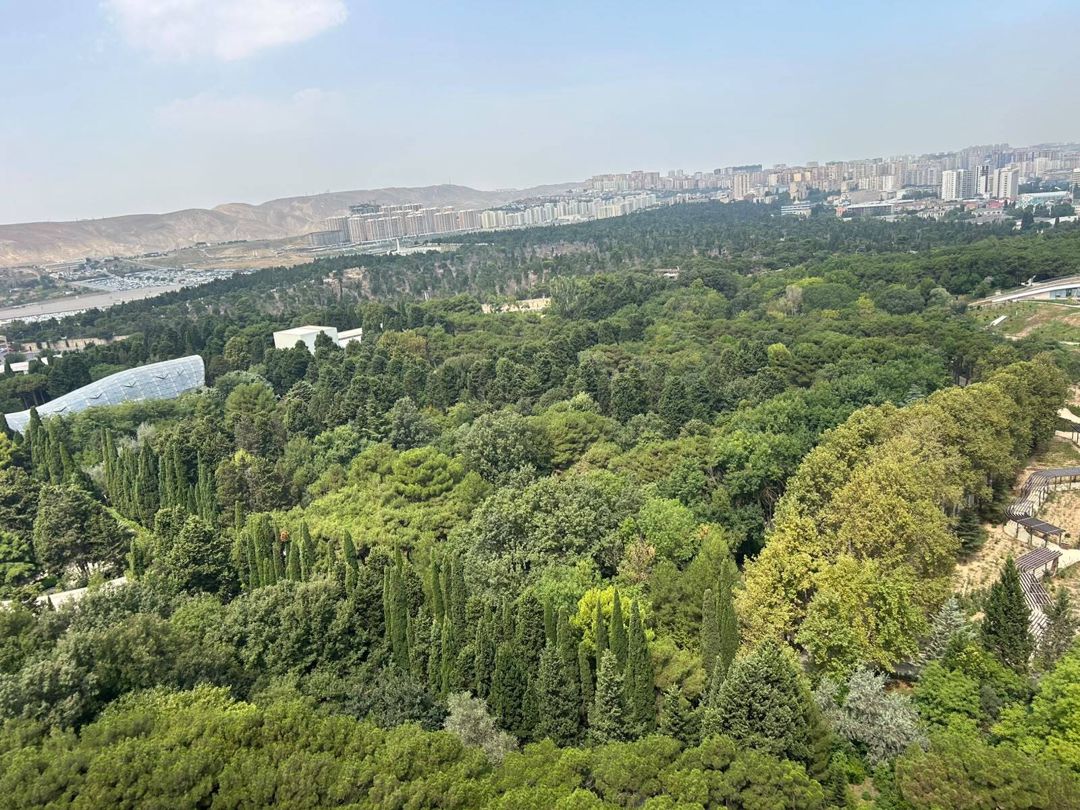 İcarəyə verilir 4 otaqlı yeni tikili 170 m² — Mənzil, Bakı (10)