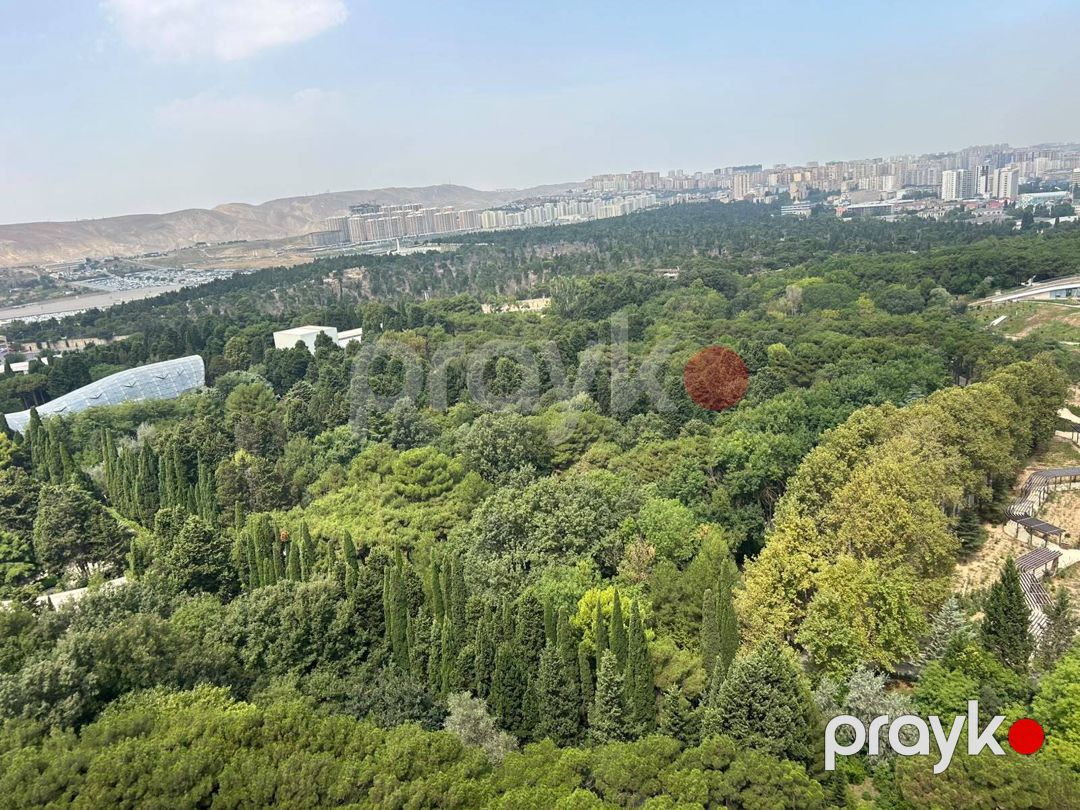 İcarəyə verilir 4 otaqlı yeni tikili 170 m² — Mənzil, Bakı (10)
