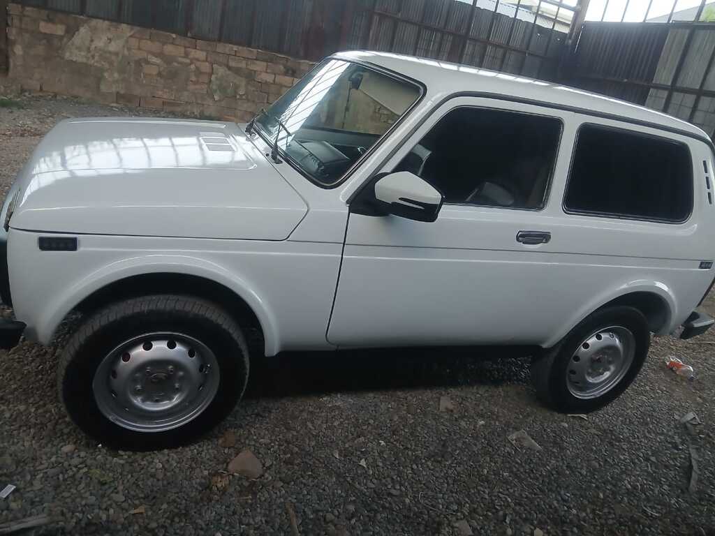 Lada (VAZ) Niva, 1.7 L, 2001 il, 76 453 km — Avtomobillər, Biləsuvar (3)